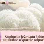 Soplówka jeżowata i chaga – naturalne wsparcie odporności
